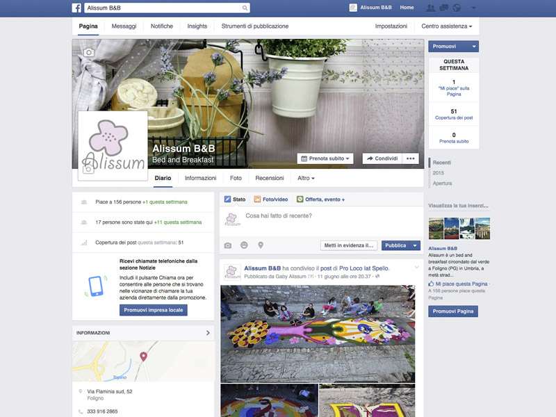 Pagina-Facebook-Alissum